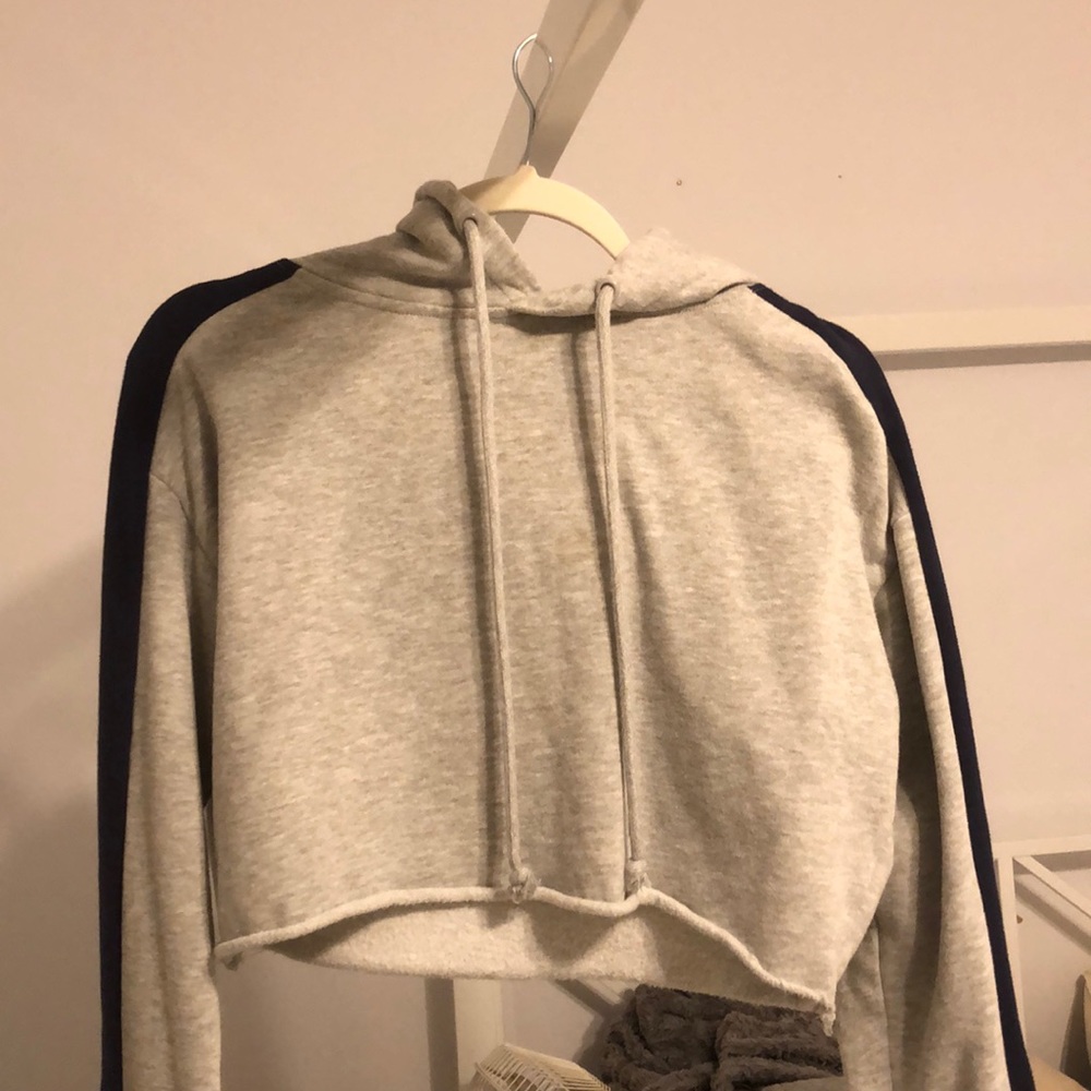 Cropped pacsun hoodie